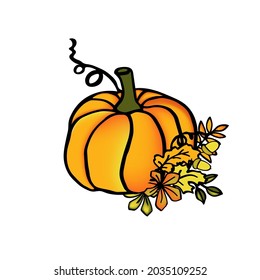 Autumn pumpkin hand drawn thanksgivin ilustration for card or baner 