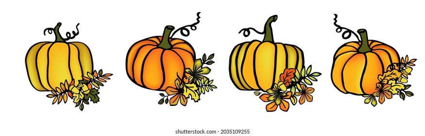 Autumn pumpkin hand drawn thanksgivin ilustration for card or baner 