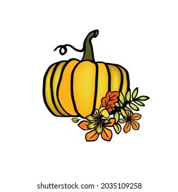 Autumn pumpkin hand drawn thanksgivin ilustration for card or baner 