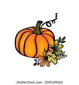 Autumn pumpkin hand drawn thanksgivin ilustration for card or baner 