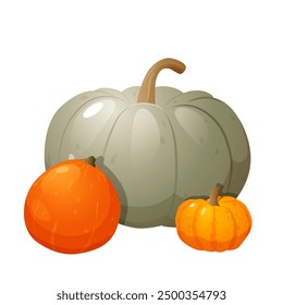 Cosecha de calabaza de otoño de diferentes tipos y colores aislados sobre fondo blanco.