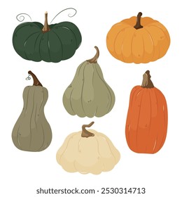 Autumn pumpkin harvest. Organic natural pumpkin collection different types, forms, colors. Isolated illustration for card, postcard, cover. EPS 10