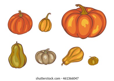 autumn pumpkin isolated on white background, vector illustration