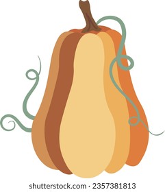  Autumn Pumpkin isolated Vector illustration on white background