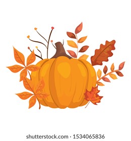 autumn pumpkin with leafs isolated icon vector illustration design