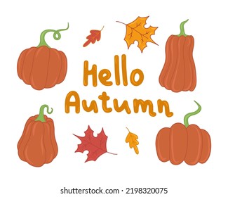 Autumn pumpkin and leaves flat vector isolated illustration. Cute pumpkin print. Seasonal vegetable. Hello fall. Cozy elements. Harvest festival. Pumpkin spice and taste