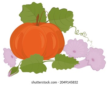 Autumn pumpkin with leaves and flowers on isolated white background.
Bright vector illustration for design.
