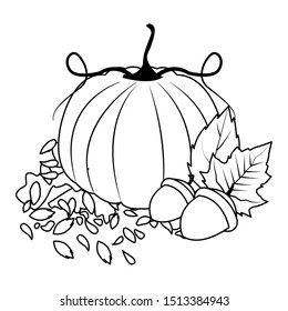 autumn pumpkin and nuts fruits seasonal icons vector illustration design