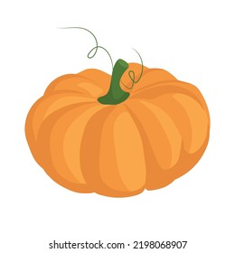 

Autumn pumpkin on a white background
