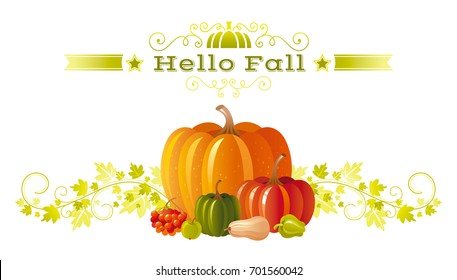 Autumn pumpkin patch greeting card. Harvest festival poster. Fall party invitation flyer. Thanksgiving day, american traditional holiday, white background isolated, agriculture vector illustration.
