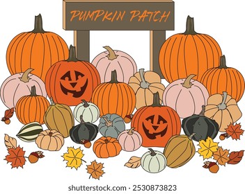 Autumn Pumpkin Patch with Pumpkins Gourds Acorns Leaves Vector Set