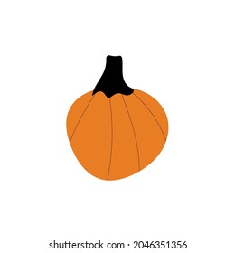 Autumn pumpkin plant Agriculture symbol. Fall decor. Fresh healthy food.