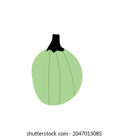 Autumn pumpkin plant Agriculture symbol. Fall decor. Fresh healthy food.
