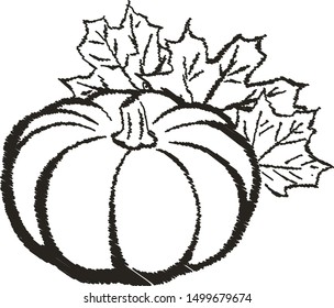 Autumn pumpkin. Scrawl vector illustration.