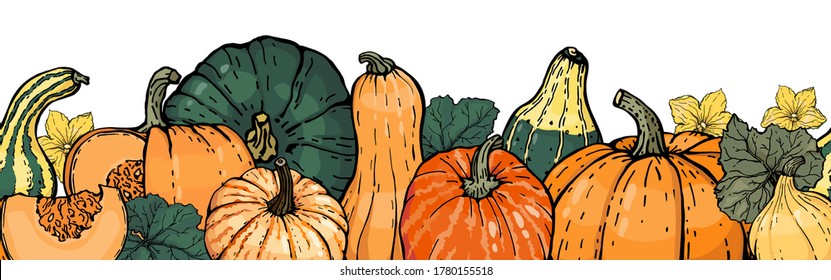 Autumn pumpkin seamless border. Vector color hand-drawn illustration with a black outline on a white background. Different types of pumpkin, pumpkin flower, pumpkin leaf.