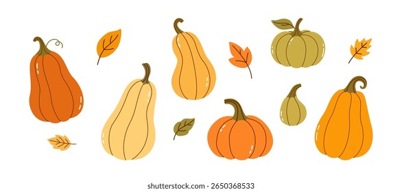 Autumn Pumpkin Set with Colorful Gourds and Falling Leaves — Hand Drawn Thanksgiving Harvest Elements in Flat Style on White Background for Fall Decoration and Seasonal Design Projects