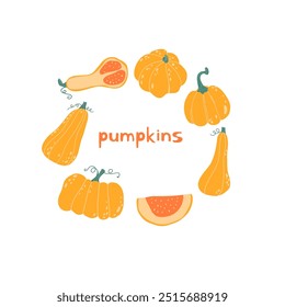 Autumn pumpkin set different shapes and sizes. Seasonal fall harvest. Halloween orange and yellow vegetables. Colored flat vector illustration isolated on white background