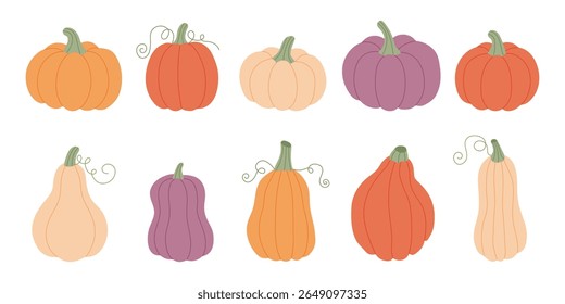 Autumn pumpkin set. Fall thanksgiving vegetables icon. Flat hand drawn vector illustration