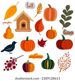 Autumn pumpkin set hand drawn