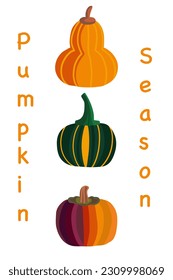 Autumn pumpkin set hand drawn vector three items