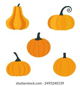Autumn pumpkin set for Thanksgiving and Halloween. Autumn harvest pumpkins. Vector illustration isolated on white background.