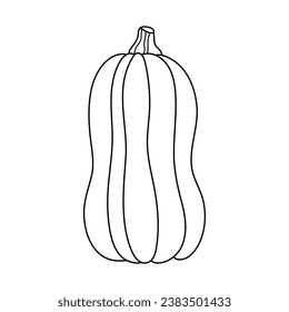 Autumn pumpkin simple line icon. Hand drawn illustration for Halloween and Thanksgiving decoration.