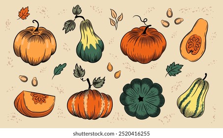 Autumn pumpkin sketch set. Whole pumpkins of various shapes, piece of pumpkin, leaves and seeds. Color hand-drawn vector illustration clipart.