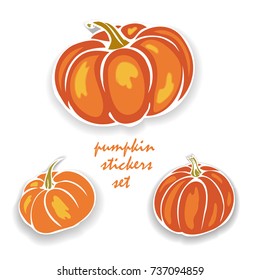 autumn pumpkin stickers set, vector illustration