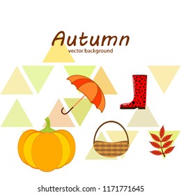 autumn pumpkin umbrella rubber boots fallen leaf basket autumnal vector background