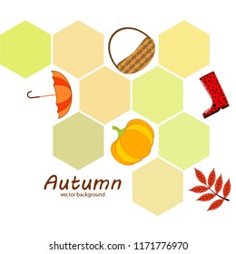 autumn pumpkin umbrella rubber boots fallen leaf basket autumnal vector background