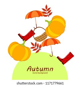 autumn pumpkin umbrella rubber boots fallen leaf basket autumnal vector background