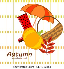 autumn pumpkin umbrella rubber boots fallen leaf basket autumnal vector background