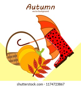 autumn pumpkin umbrella rubber boots fallen leaf basket autumnal vector background