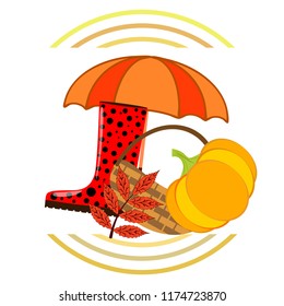 autumn pumpkin umbrella rubber boots fallen leaf basket autumnal vector background