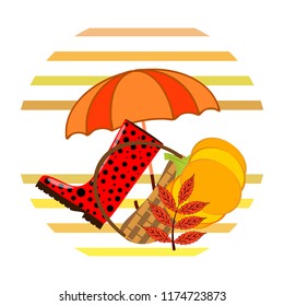 autumn pumpkin umbrella rubber boots fallen leaf basket autumnal vector background