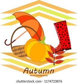 autumn pumpkin umbrella rubber boots fallen leaf basket autumnal vector background