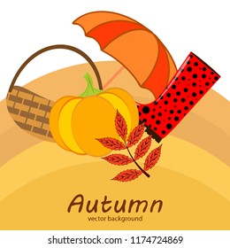 autumn pumpkin umbrella rubber boots fallen leaf basket autumnal vector background