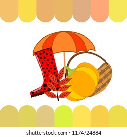 autumn pumpkin umbrella rubber boots fallen leaf basket autumnal vector background