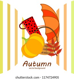 autumn pumpkin umbrella rubber boots fallen leaf basket autumnal vector background