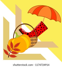 autumn pumpkin umbrella rubber boots fallen leaf basket autumnal vector background