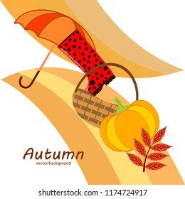 autumn pumpkin umbrella rubber boots fallen leaf basket autumnal vector background
