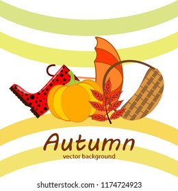 autumn pumpkin umbrella rubber boots fallen leaf basket autumnal vector background
