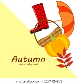 autumn pumpkin umbrella rubber boots fallen leaf basket autumnal vector background