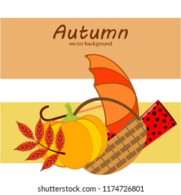autumn pumpkin umbrella rubber boots fallen leaf basket autumnal vector background