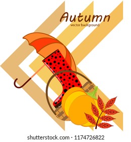 autumn pumpkin umbrella rubber boots fallen leaf basket autumnal vector background
