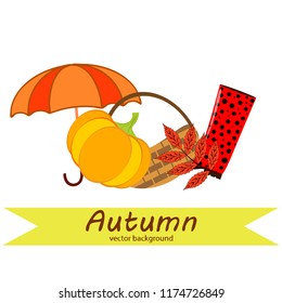 autumn pumpkin umbrella rubber boots fallen leaf basket autumnal vector background