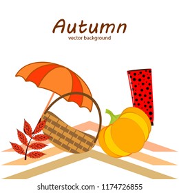 autumn pumpkin umbrella rubber boots fallen leaf basket autumnal vector background