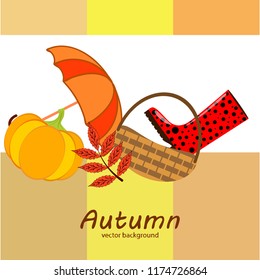 autumn pumpkin umbrella rubber boots fallen leaf basket autumnal vector background