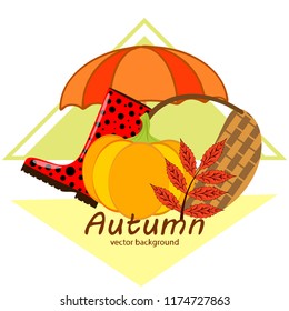 autumn pumpkin umbrella rubber boots fallen leaf basket autumnal vector background