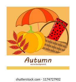 autumn pumpkin umbrella rubber boots fallen leaf basket autumnal vector background